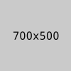 Website D